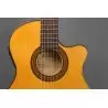 Alhambra 3F CT E1 Estrecha Electrificada Fishman