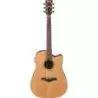 Compra ibanez aw65ece-lg natural low gloss finish al mejor precio
