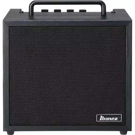 Ibanez IBZ10BV2 Combo