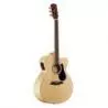 Comprar Alvarez AJ80CE Artist Jumbo Dreadnought al mejor precio