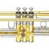 Compra YAMAHA YTR-8335 trompeta personalizada con estuche al mejor precio