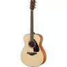 Compra Yamaha FS800 NATURAL al mejor precio