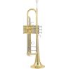 Compra YAMAHA YTR-8345RG SP 04 Trompeta Custom al mejor precio