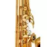 Compra yamaha yts-480 saxo tenor al mejor precio
