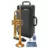 Compra Yamaha YTR 4335 GII Trompeta en sib al mejor precio