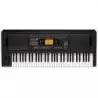 Comprar Korg EK-50 L teclado de acompañamiento al mejor precio