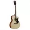 Comprar Alvarez RF26CE Regent Folk al mejor precio