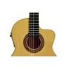 Compra Jose Torres JTF-50CE guitarra flamenca