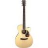 Furch VINTAGE 2 OMC-SR ANTHEM Cutaway