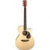 Furch VINTAGE 3 OMC-SR ANTHEM Cutaway