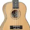 Compra TANGLEWOOD TWT11 Ukelele Concierto al mejor precio