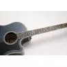 Takamine LTD 2021 Blue Rose