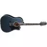 Takamine LTD 2021 Blue Rose