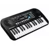 KURZWEIL KP-10 de 30 Notas en oferta