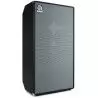 Ampeg SVT-810AV Heritage