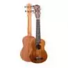 Comprar Daytona UKKOAC Ukelele concierto Koa al mejor precio