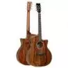 Comprar Tanglewood TVCXPW Walnut Brillo al mejor precio