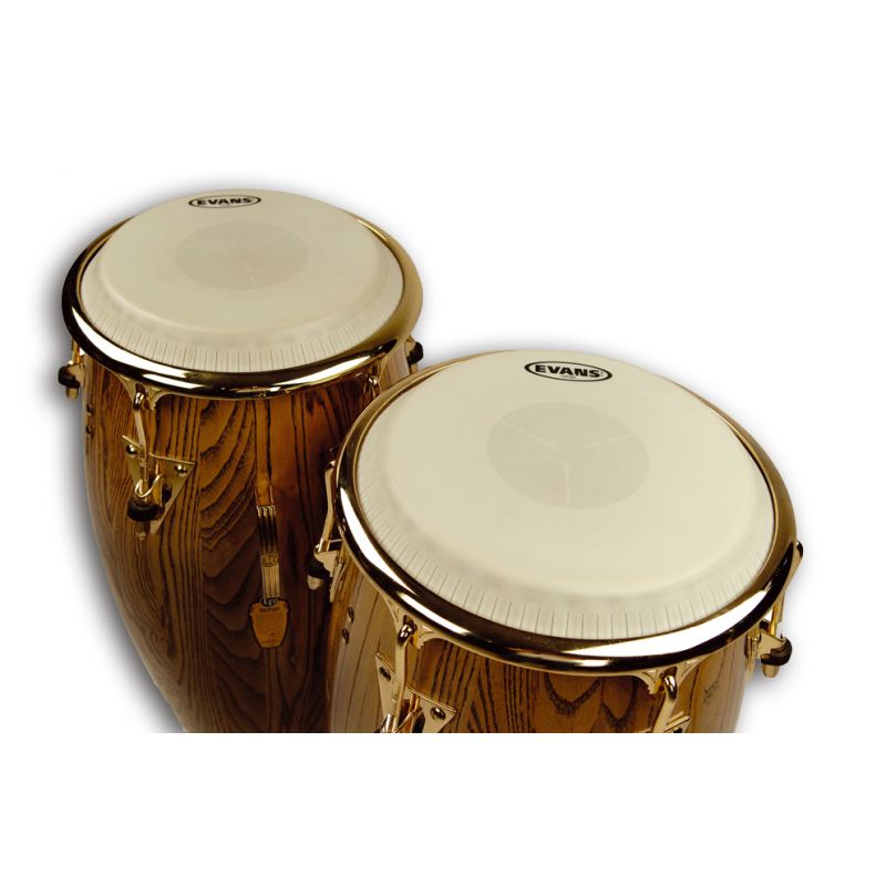 ⚡ Comprar Evans parche conga giovanni & galaxy series