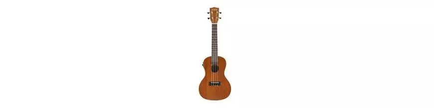 Ukelele Concierto