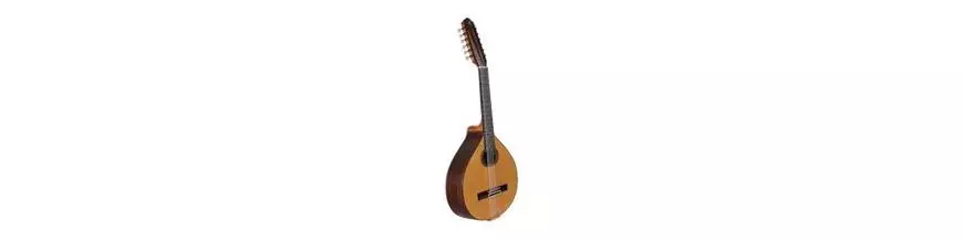Instrumentos de cuerda tradicionales