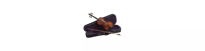 Violín