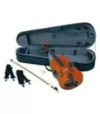 Viola