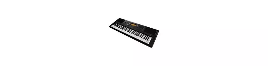 Teclados