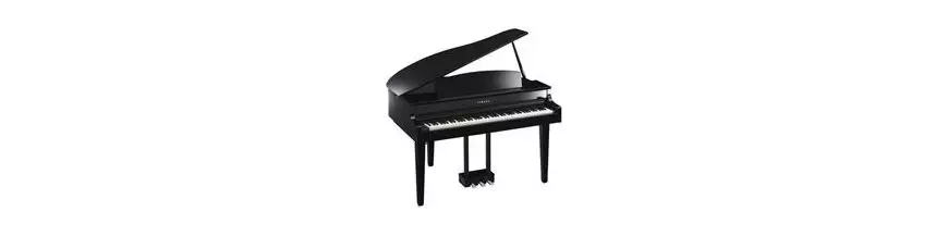 Pianos de Cola Acusticos